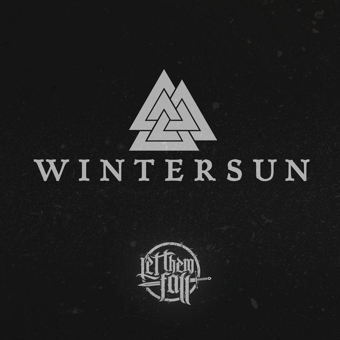 LET THEM FALL - Wintersun cover 