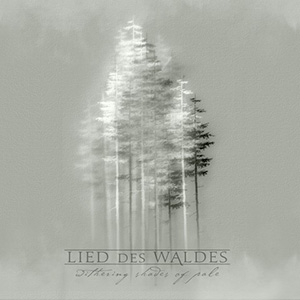 LIED DES WALDES - Withering Shades of Pale cover 
