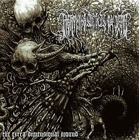 LIGHTNING SWORDS OF DEATH - The Extra Dimensional Wound cover 