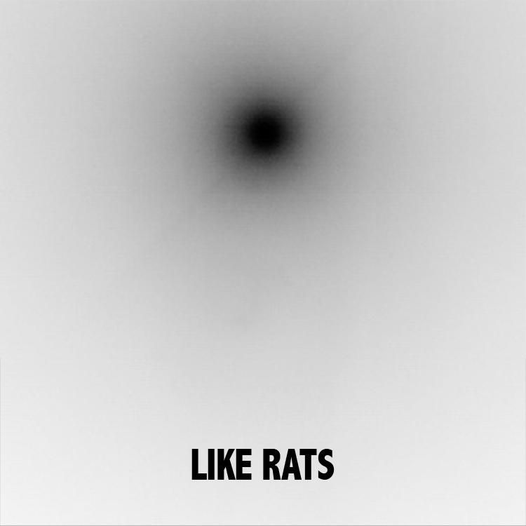 LIKE RATS - Like Rats (2009) cover 