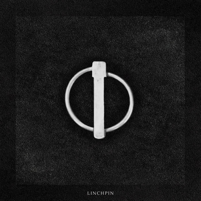 LINCHPIN - Linchpin cover 