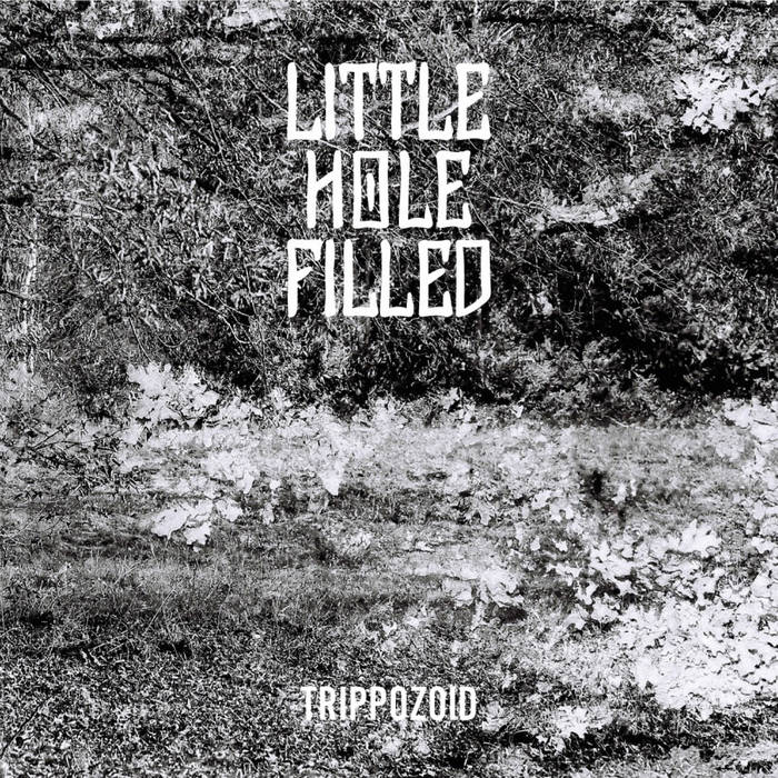LITTLE HOLE FILLED - Trippozoid cover 