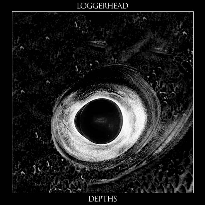 LOGGERHEAD - Depths cover 