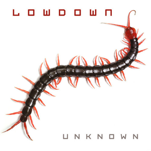 LOWDOWN - Unknown cover 