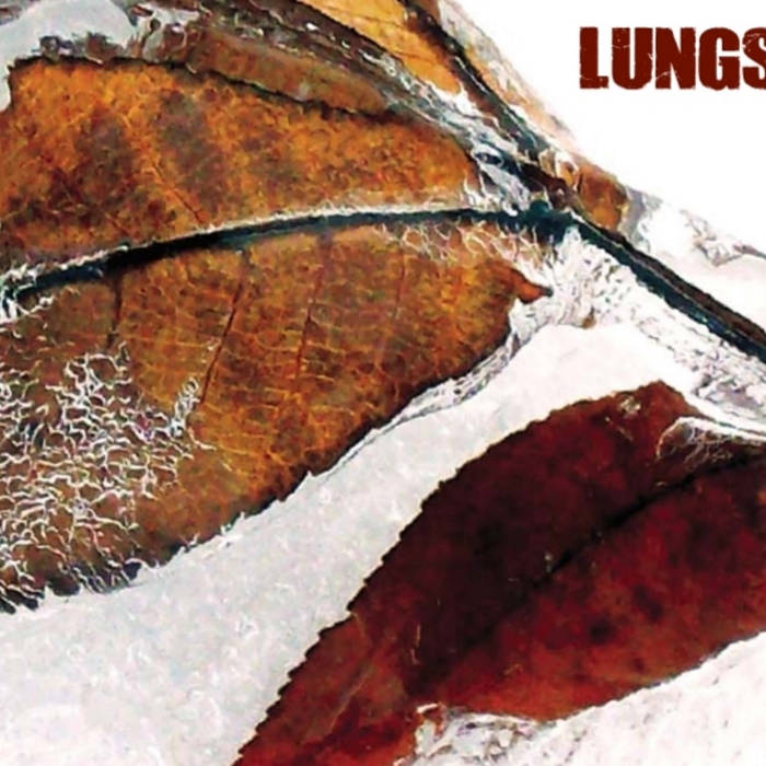 LUNGS - Lungs cover 