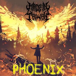MADE IN TAIWAN - Phoenix cover 