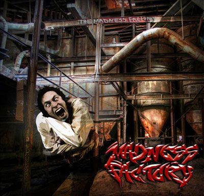 MADNESS FACTORY - The Madness Factory cover 