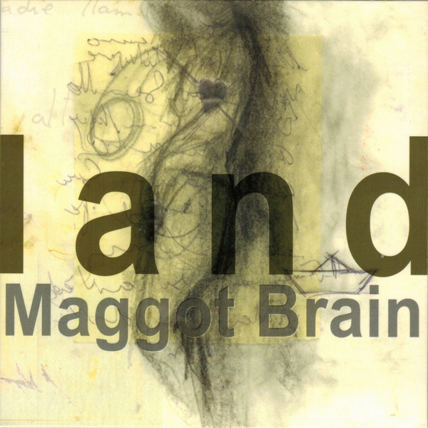 MAGGOT BRAIN - Land cover 