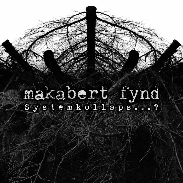 MAKABERT FYND - Systemkollaps...? cover 