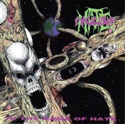 MALICIOUS HATE - In The Name Of Hate cover 