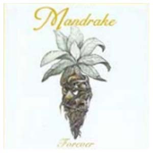 MANDRAKE - Forever cover 