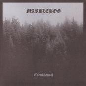 MARBLEBOG - Csendhajnal - Silencedawn cover 