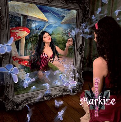 MARKIZE - Transparence cover 