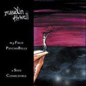 MAUDLIN OF THE WELL - My Fruit Psychobells... A Seed Combustible cover 