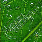 MEDUSA OBLONGADA - Medusa Oblongada cover 