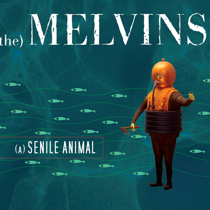 MELVINS - (A) Senile Animal cover 