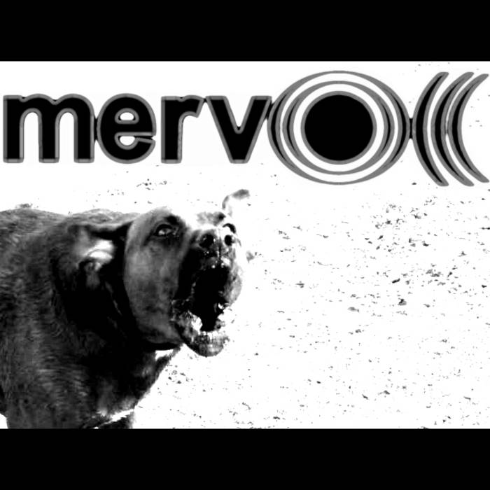 MERV - Demo 2012 cover 