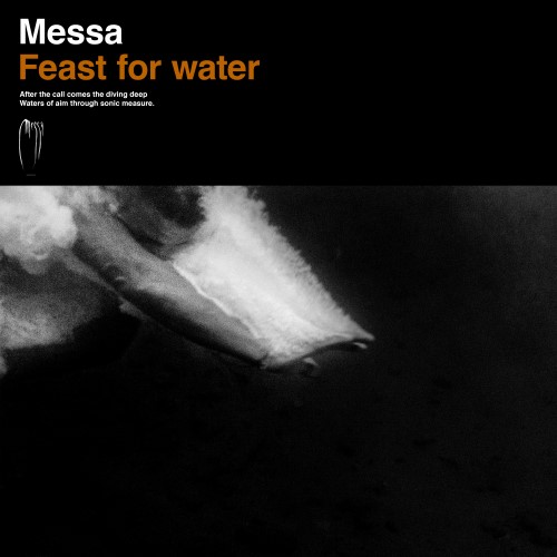 MESSA - Feast for Water cover 