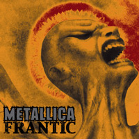 METALLICA - Frantic cover 