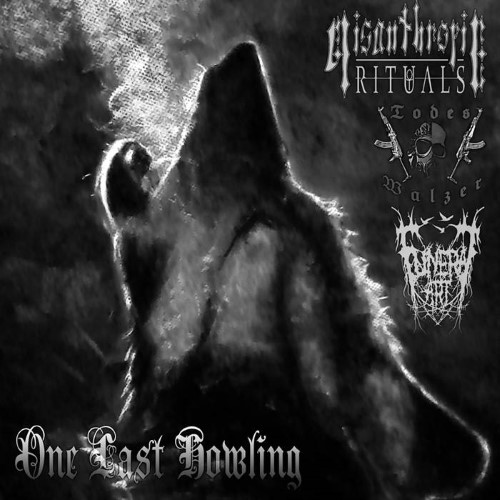 MISANTHROPIC RITUALS - One Last Howling cover 