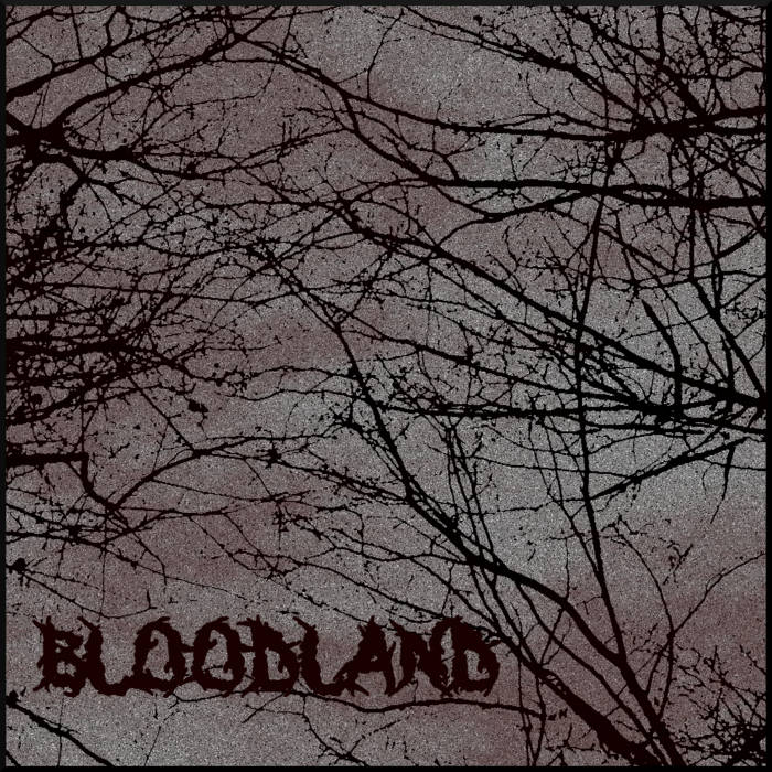 MLRIFFAGE - Bloodland cover 