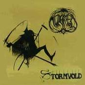 MOLESTED - Stormvold cover 
