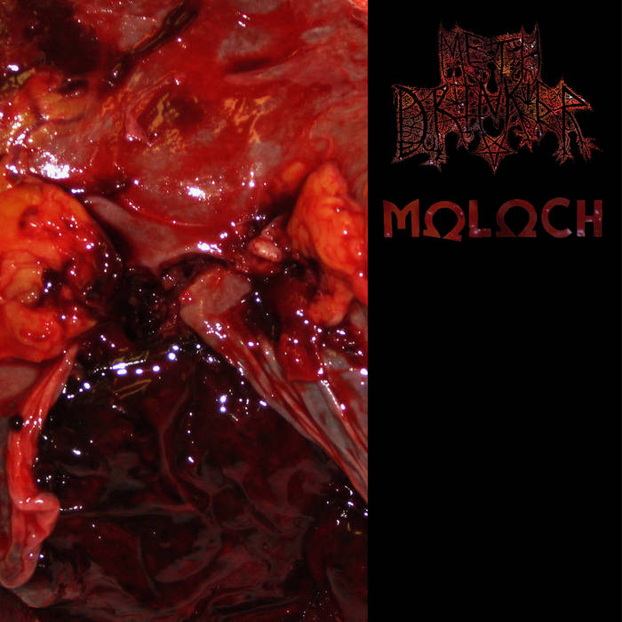 MOLOCH - Meth Drinker / Moloch cover 