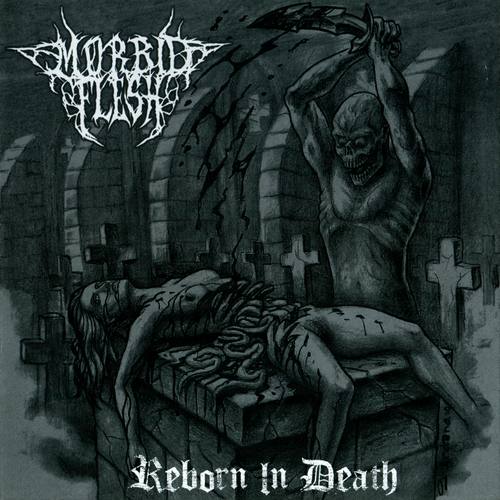MORBID FLESH - Reborn In Death cover 