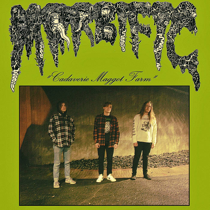 MORBIFIC - Cadaveric Maggot Farm cover 