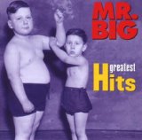 MR. BIG - Greatest Hits cover 