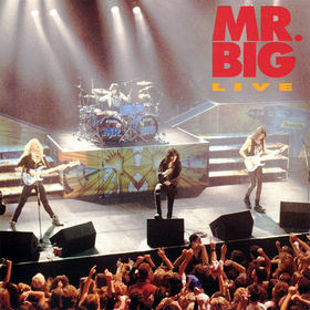MR. BIG - Live cover 