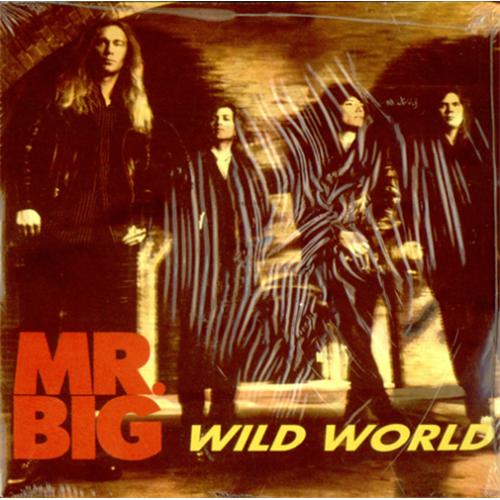 MR. BIG - Wild World cover 