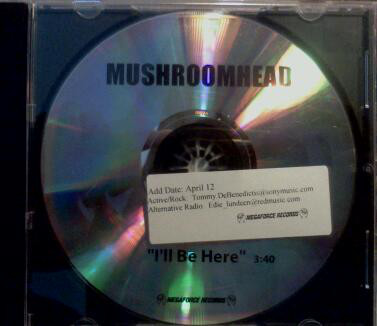 MUSHROOMHEAD - I'll Be Here cover 