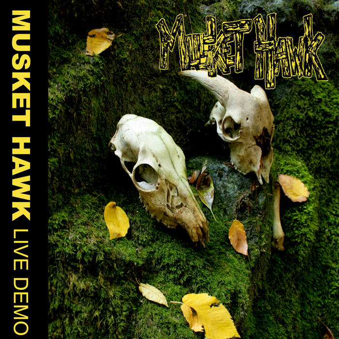 MUSKET HAWK - Live Demo cover 