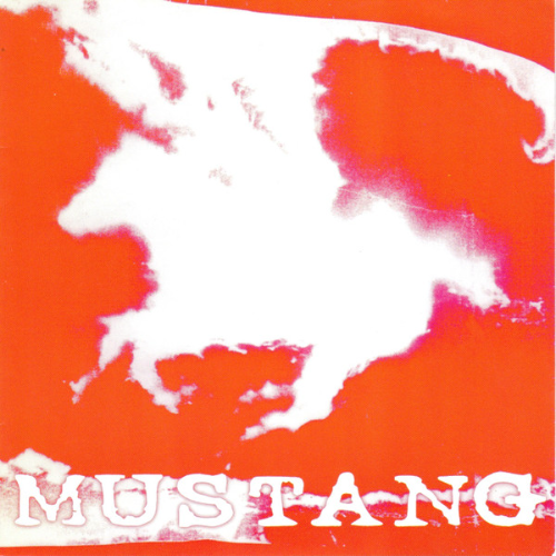 MUSTANG - Mustang cover 