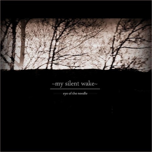 MY SILENT WAKE - Eye Of The Needle cover 