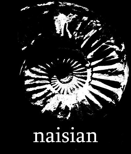 NAISIAN - Tears Of The King / Naisian cover 