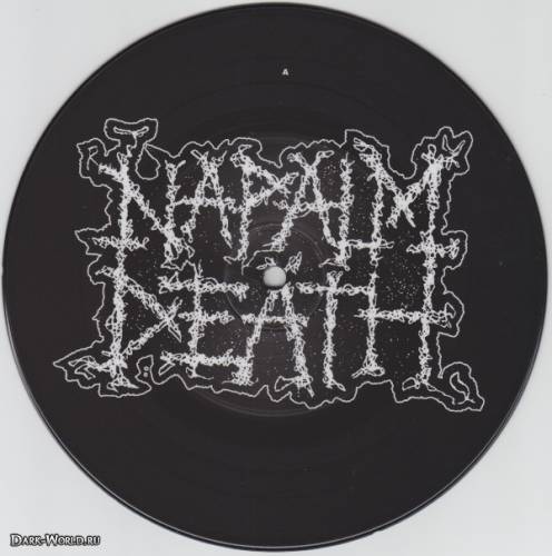 NAPALM DEATH - Napalm Death / Insect Warfare cover 