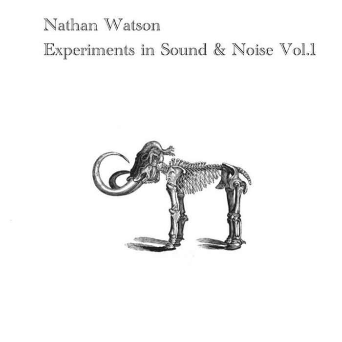 NATHAN WATSON - Experiments In Sound & Noise Vol.1 cover 