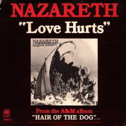 NAZARETH - Love Hurts / Hair Of The Dog cover 