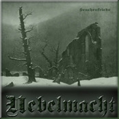 NEBELMACHT - Seuchenfriede cover 