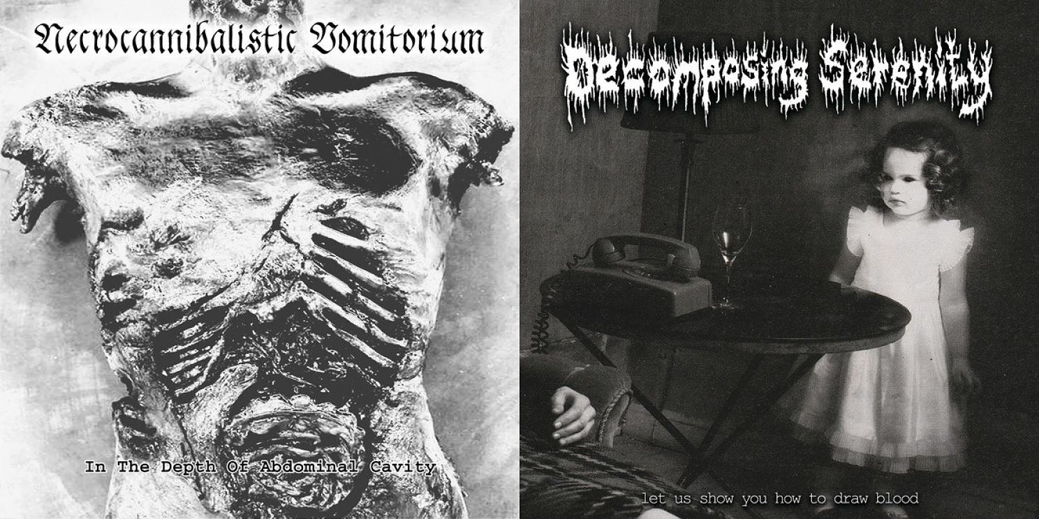 NECROCANNIBALISTIC VOMITORIUM - In The Depth Of Abdominal Cavity / Let Us Show You How To Draw Blood cover 
