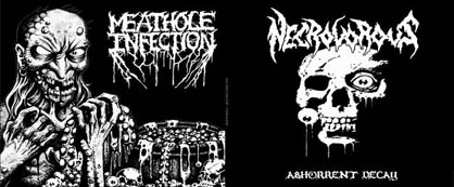 NECROVOROUS - Necrovorous / Meathole Infection cover 