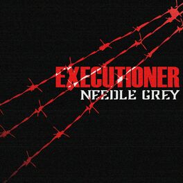 NEEDLE GREY - Executioner cover 