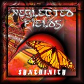 NEGLECTED FIELDS - Synthinity cover 