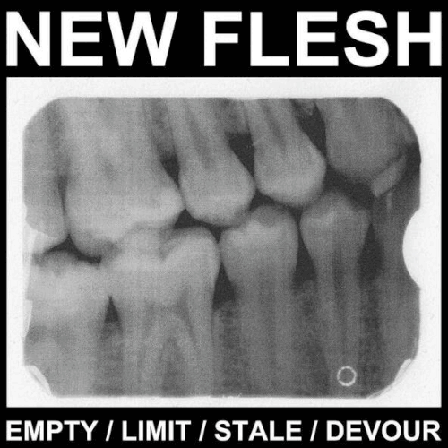 NEW FLESH - Mighty Atom / New Flesh cover 
