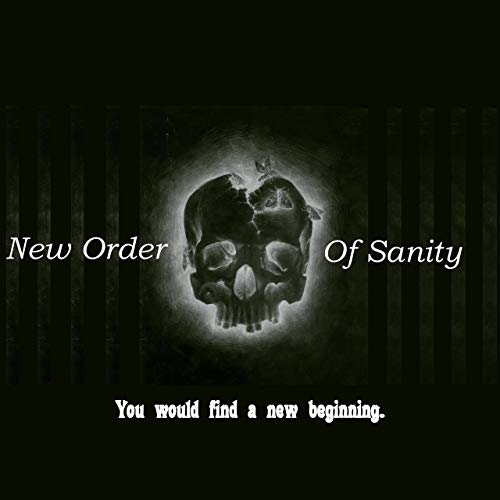NEW ORDER OF SANITY - You Would Find A New Beginning cover 