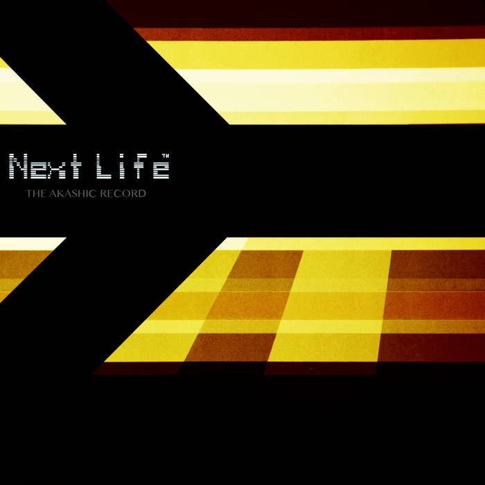NEXT LIFE - The Akashic Record cover 