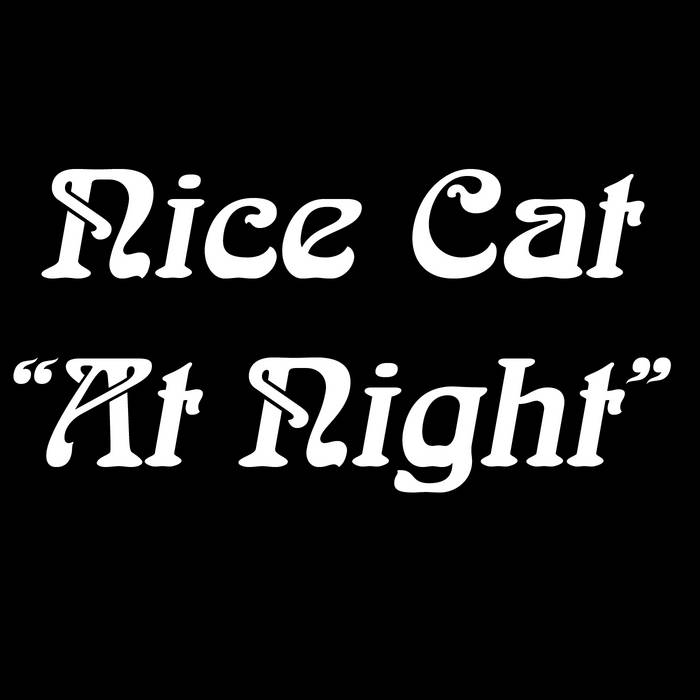 NICE CAT - At Night cover 