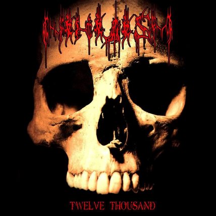 NIHILISM - Twelve Thousand cover 